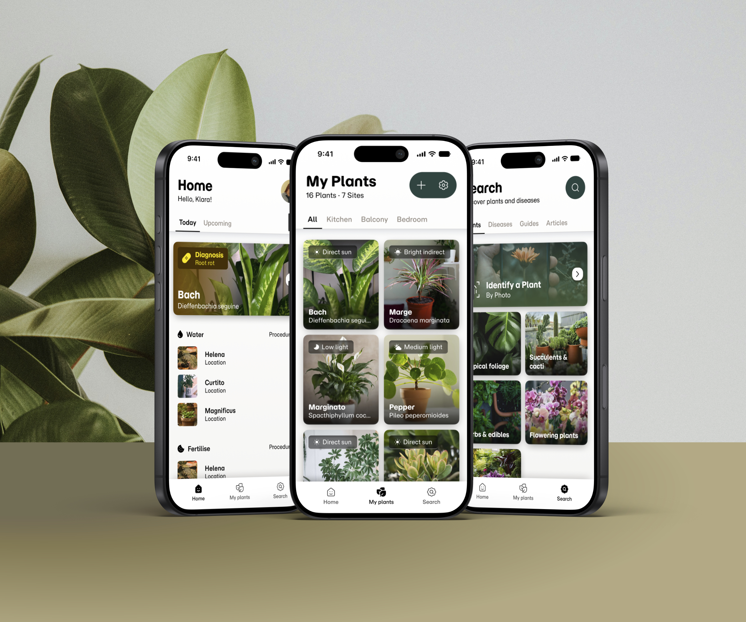 Preview image of the Sproutly case study